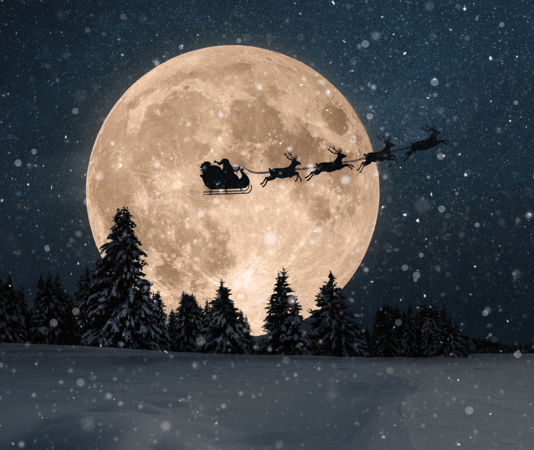 Untitled-design.2).2412201243420(964)